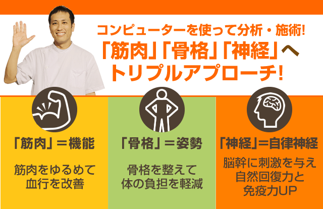 筋肉・骨格・神経へトリプルアプローチ