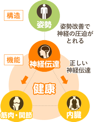 施術についてイラスト